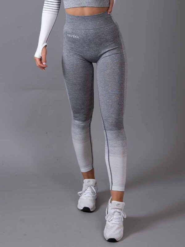 Seamless Tights Dignus Grey/White front