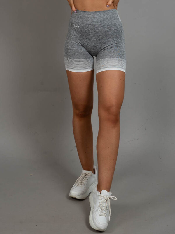 Dignus Seamless shorts grey/white front